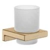 Hansgrohe AddStoris - Tandenborstelhouder, Mat Glas/geborsteld Brons 41749140